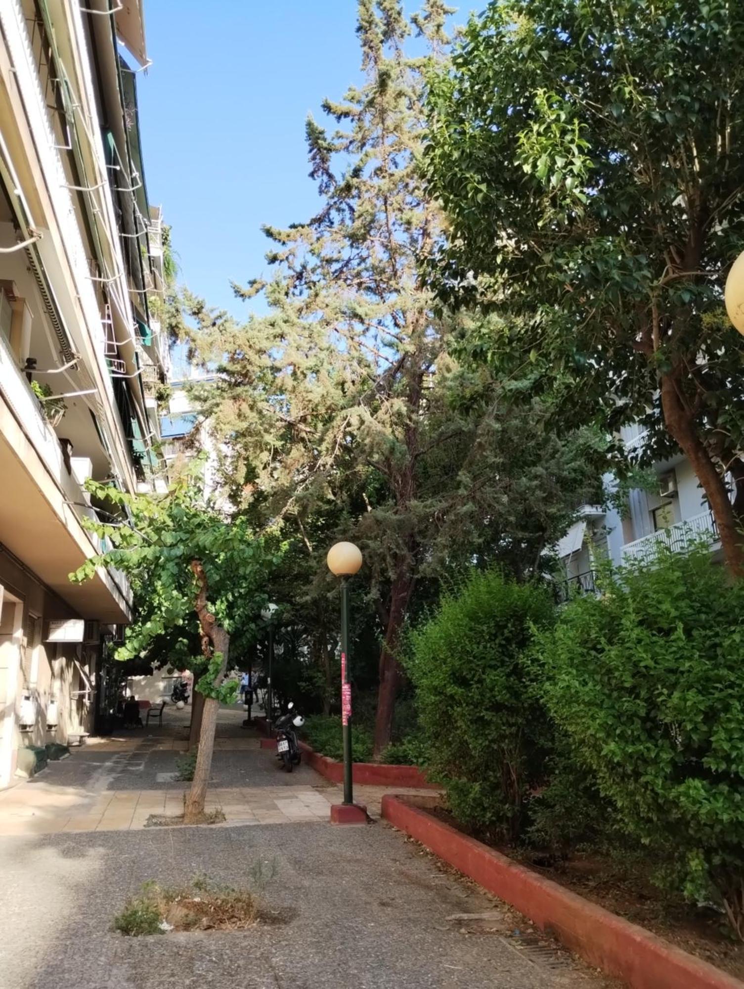 Vasia's Cosy In Athens, 