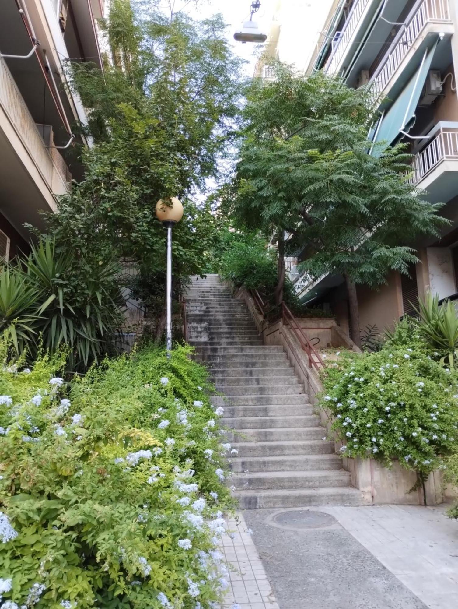 Vasia's Cosy In Athens, 
